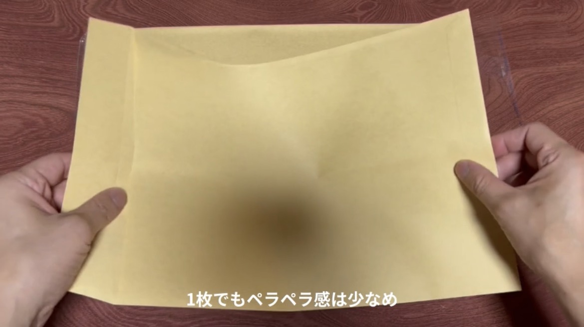 袋から取り出したクラフト封筒1枚の外観